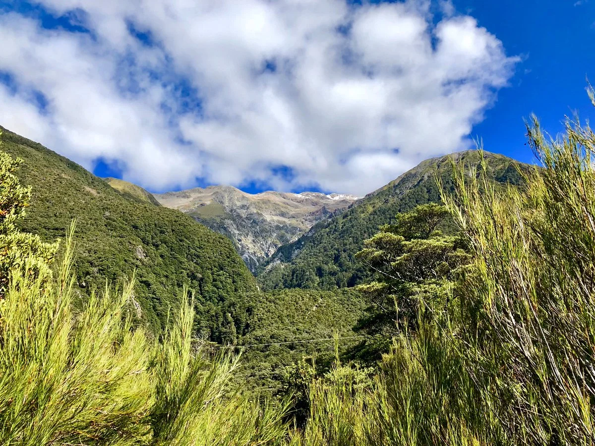 Arthur's Pass Walking Track