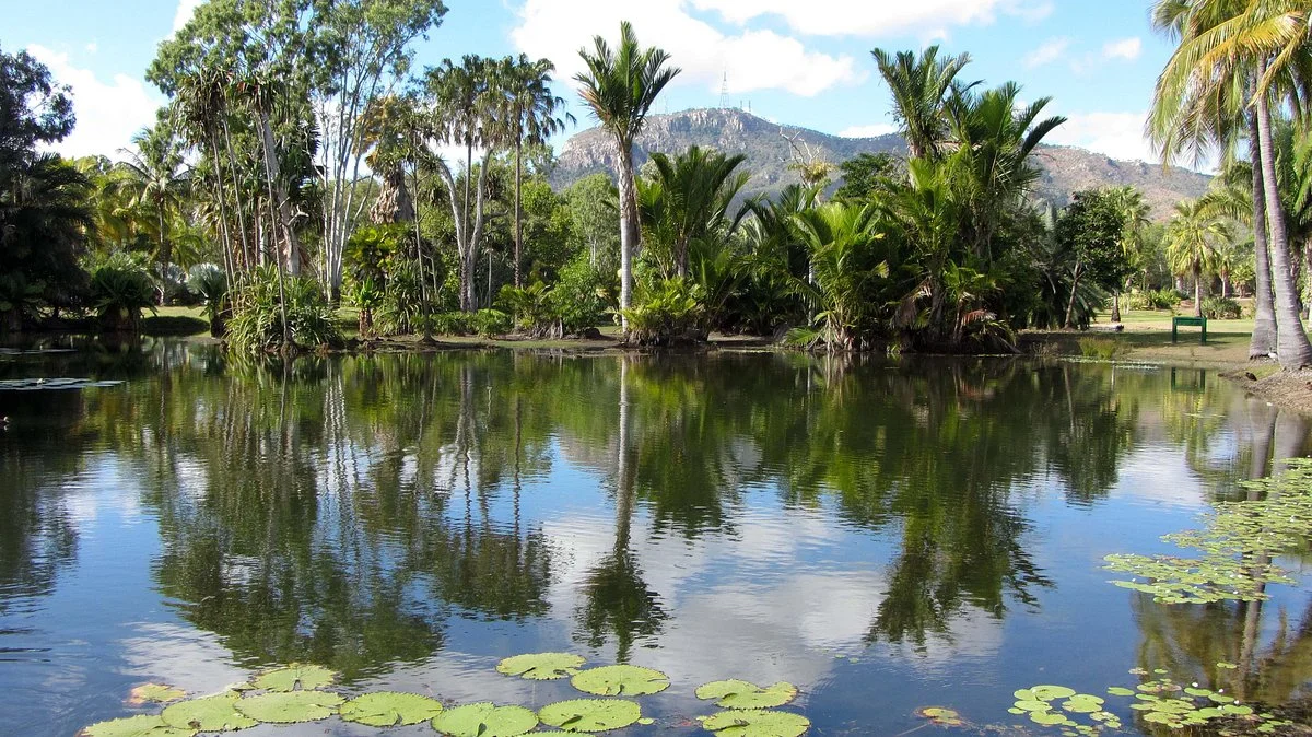 Townsville Palmetum