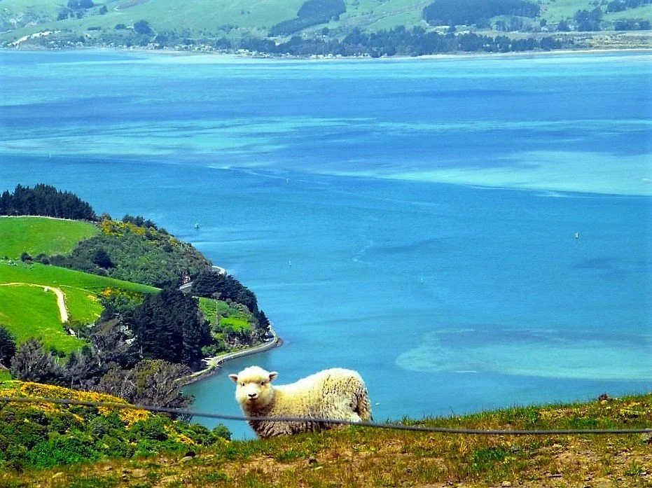 Purakaunui Bay