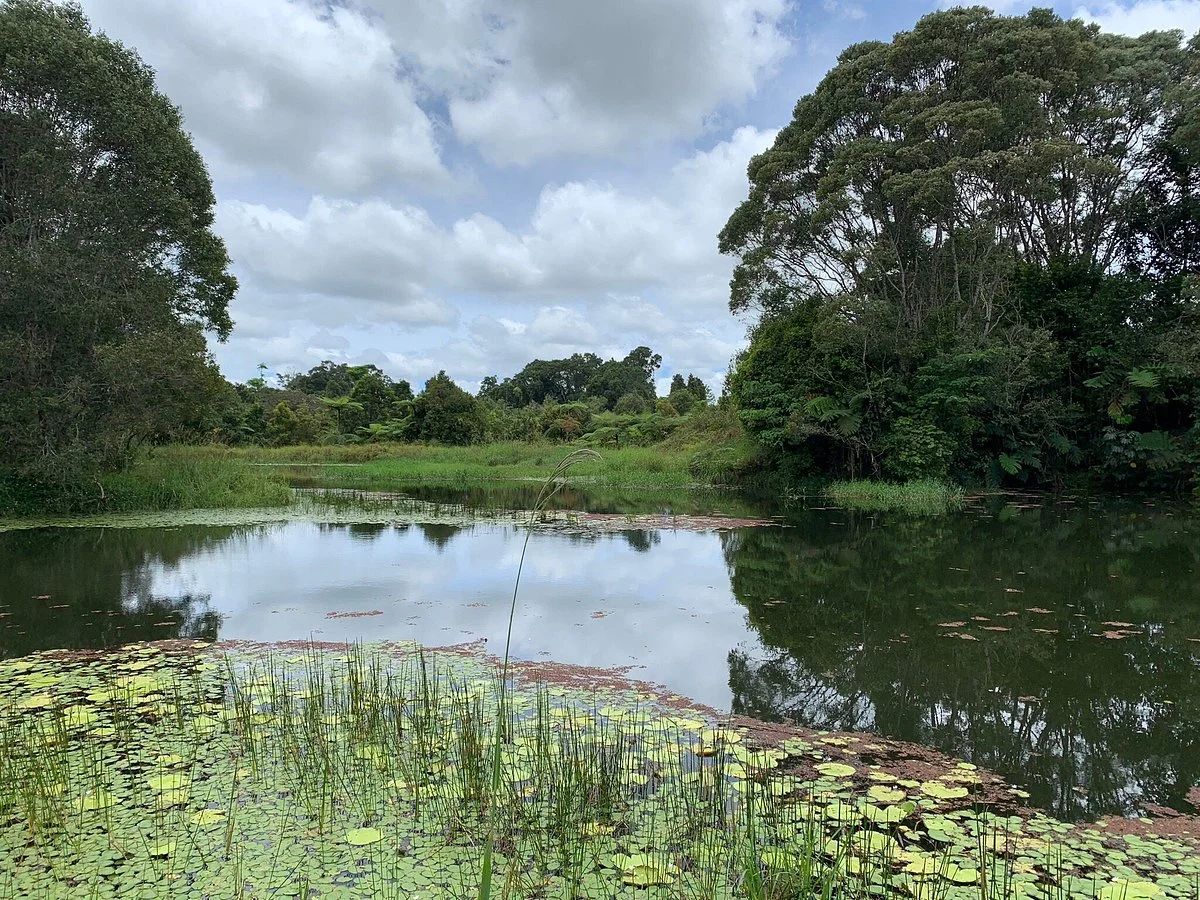 The Australian Platypus Park at Tarzali Lakes