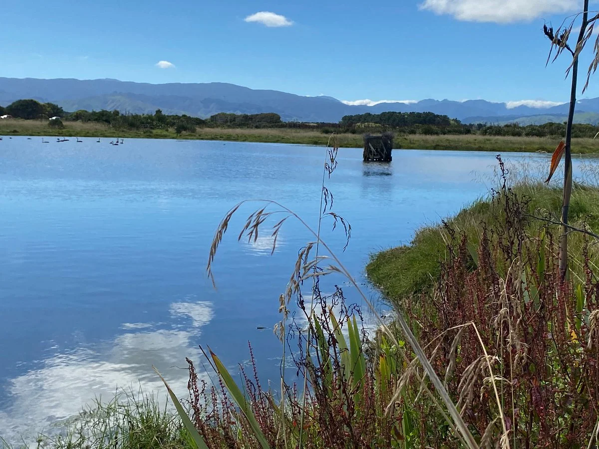 Otaki River Walks