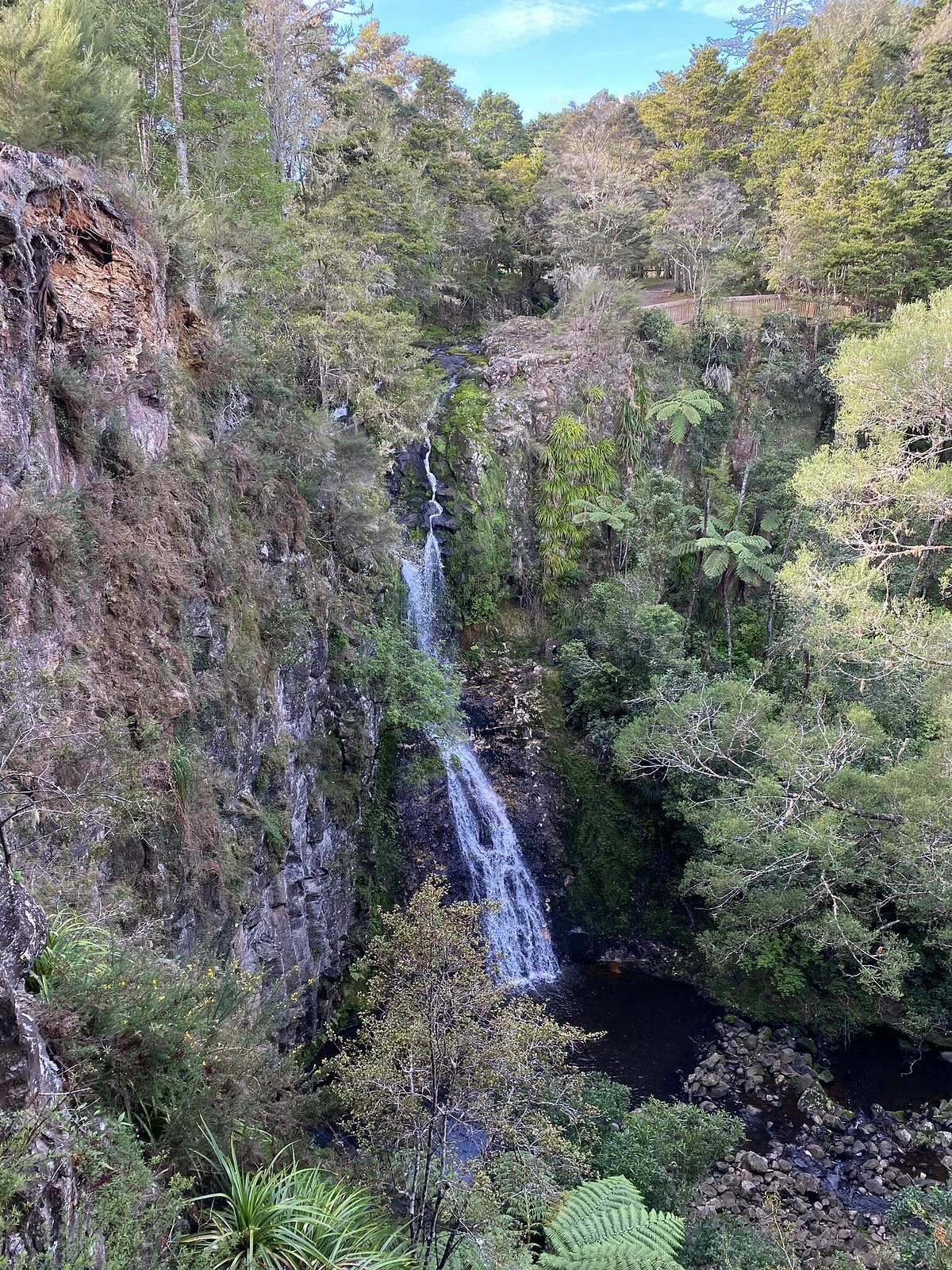 AH Reed Kauri Park