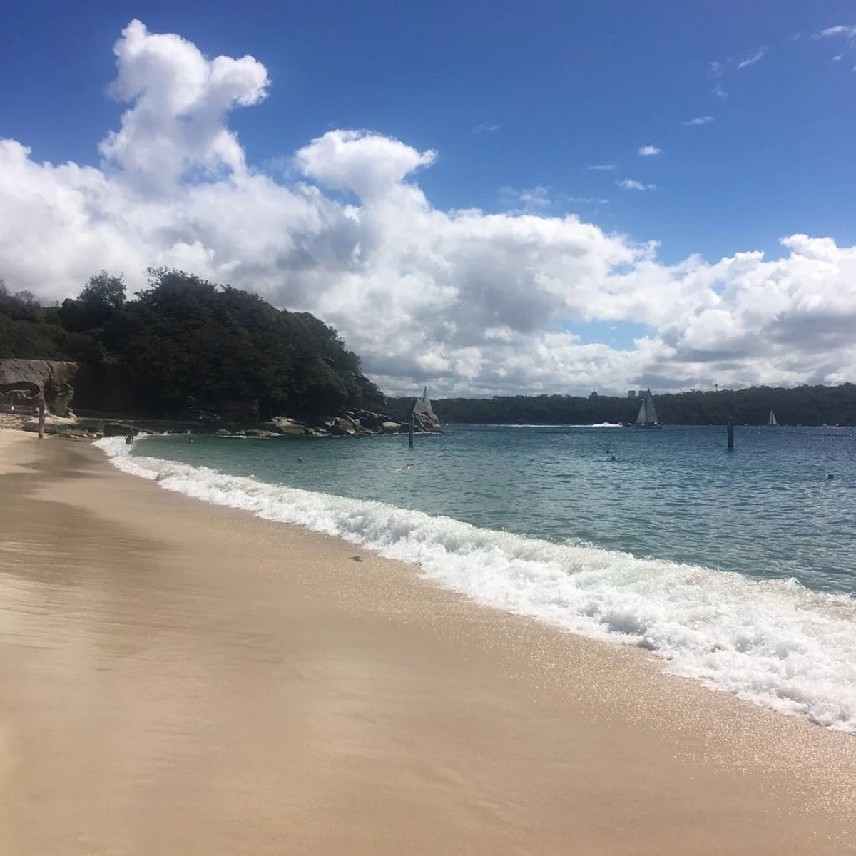 Nielsen Park