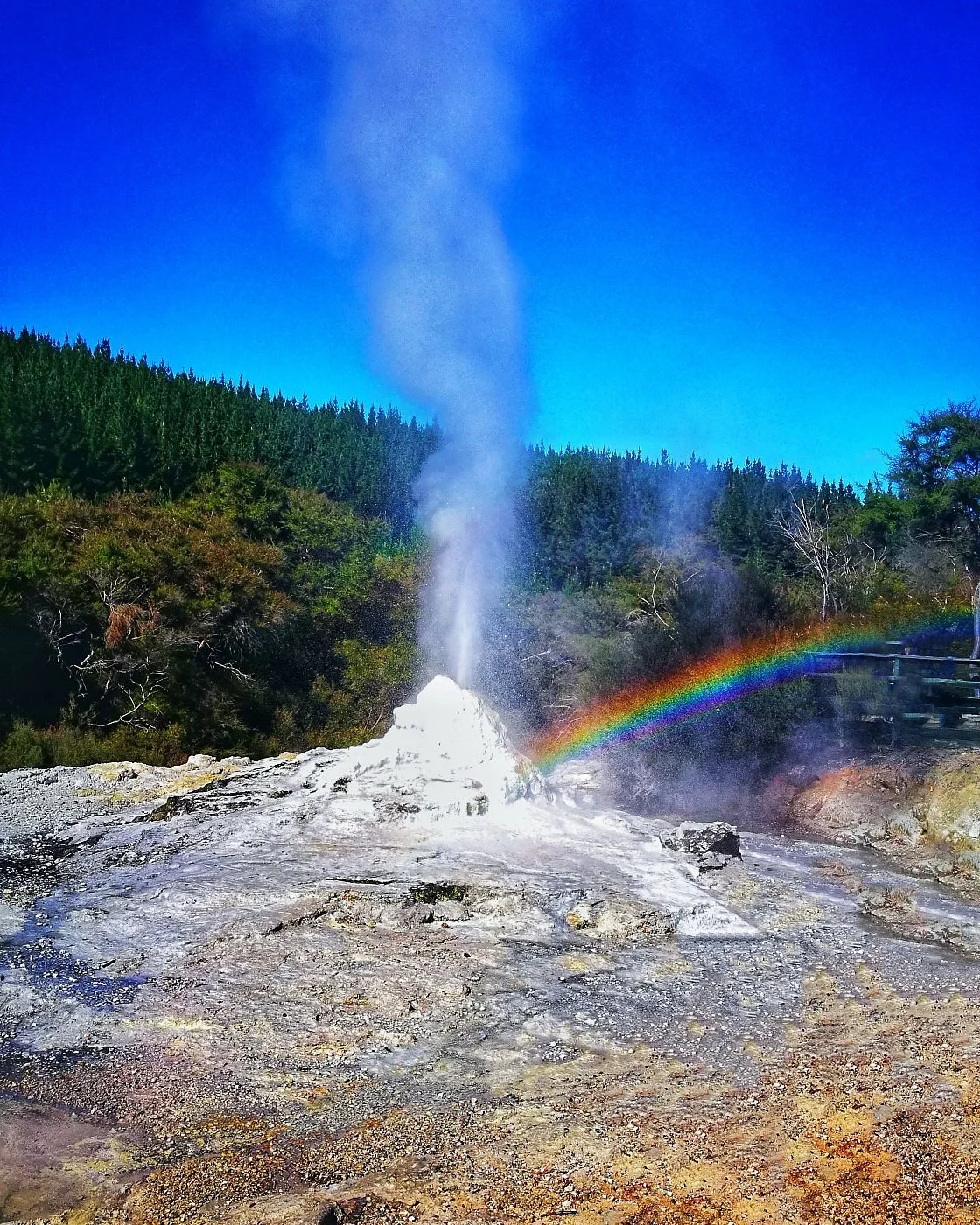 Lady Knox Geyser