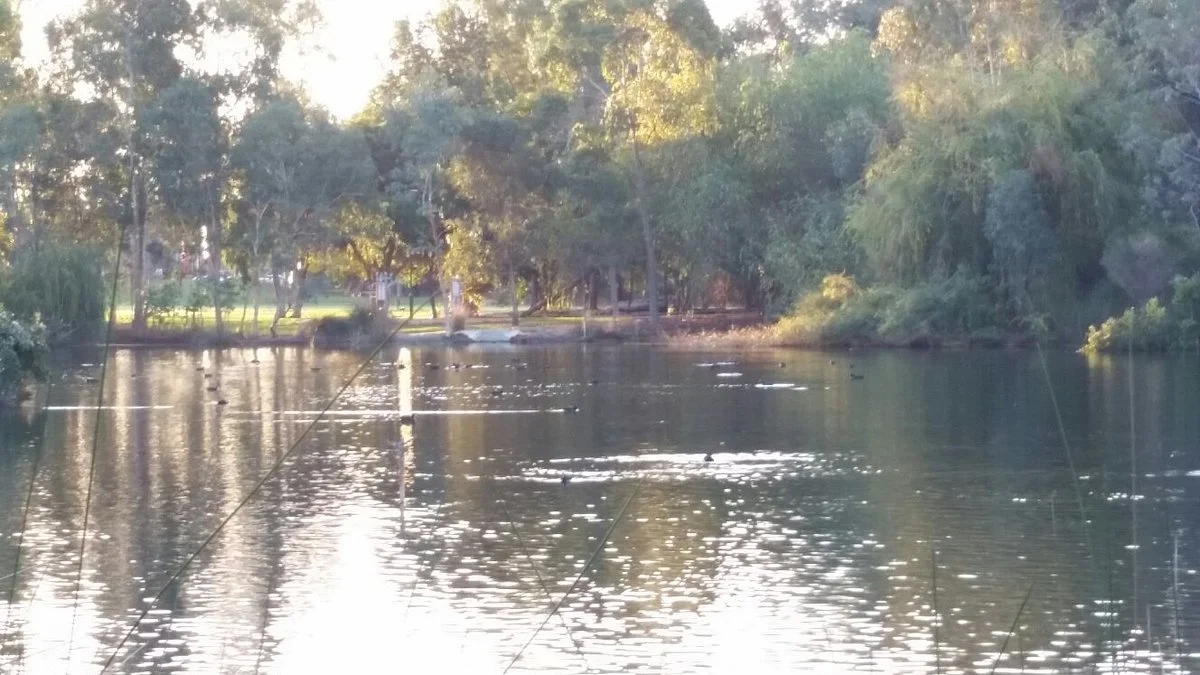 Centenary Park