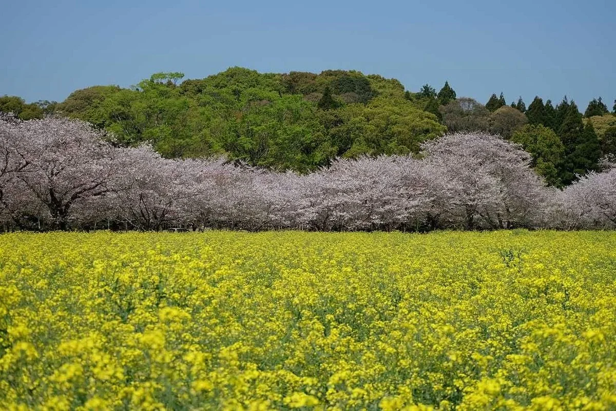 Saitobaru Park