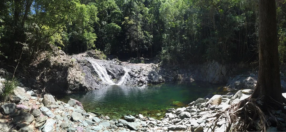 Conondale National Park