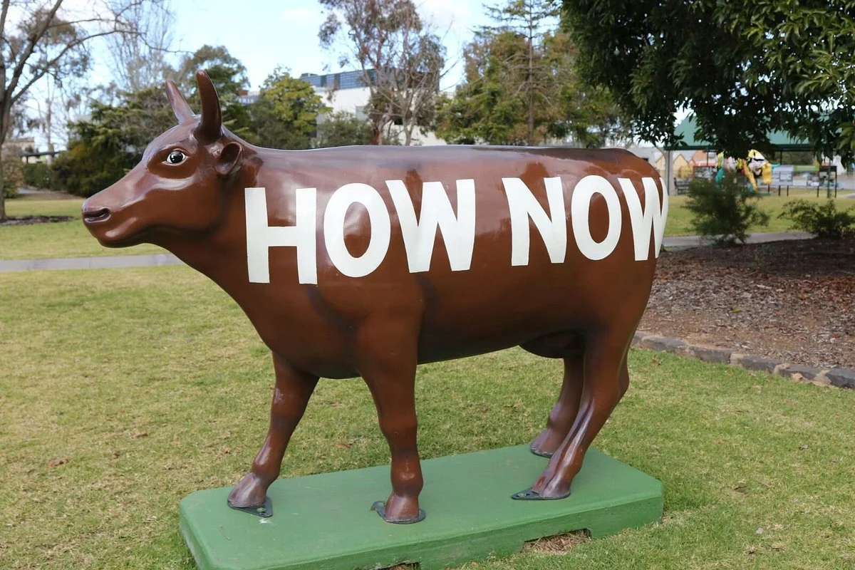 Moooving Art Shepparton