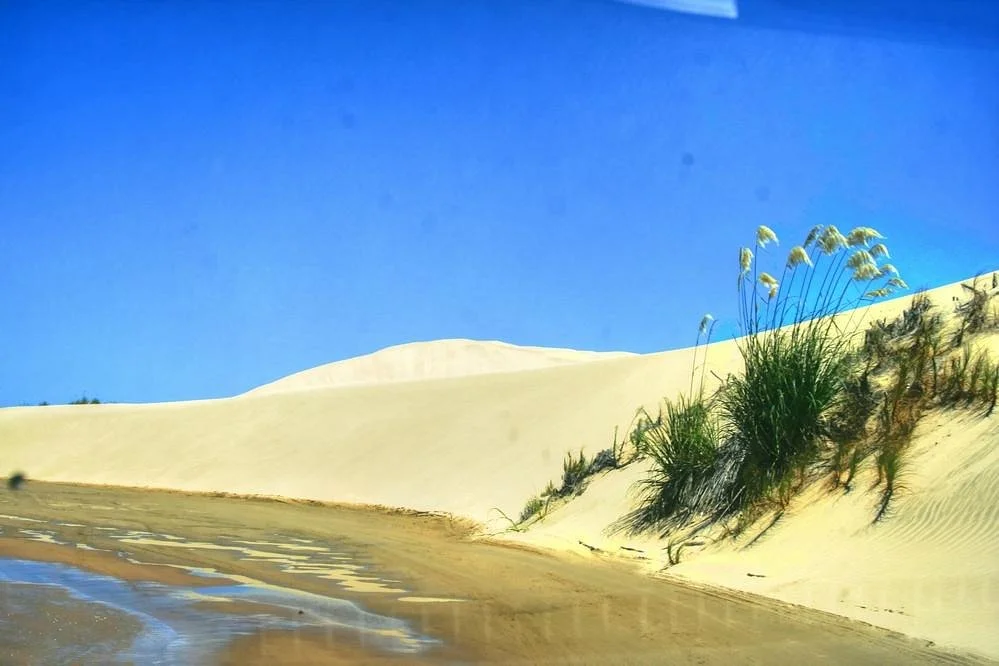 Te Paki Sand Dunes