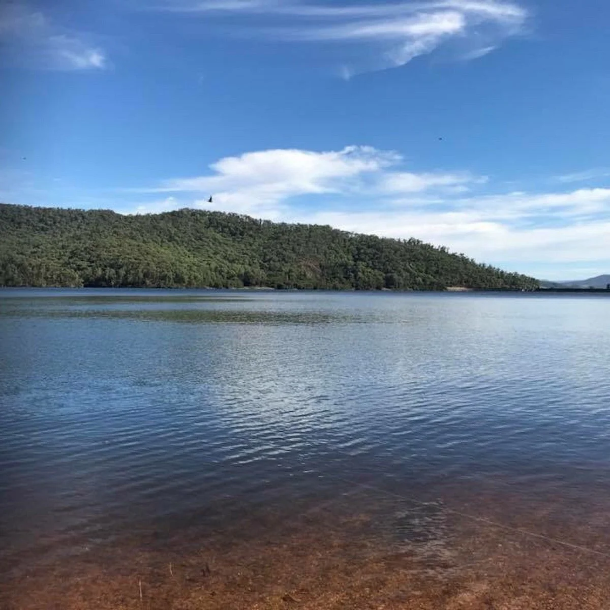Lake Buffalo