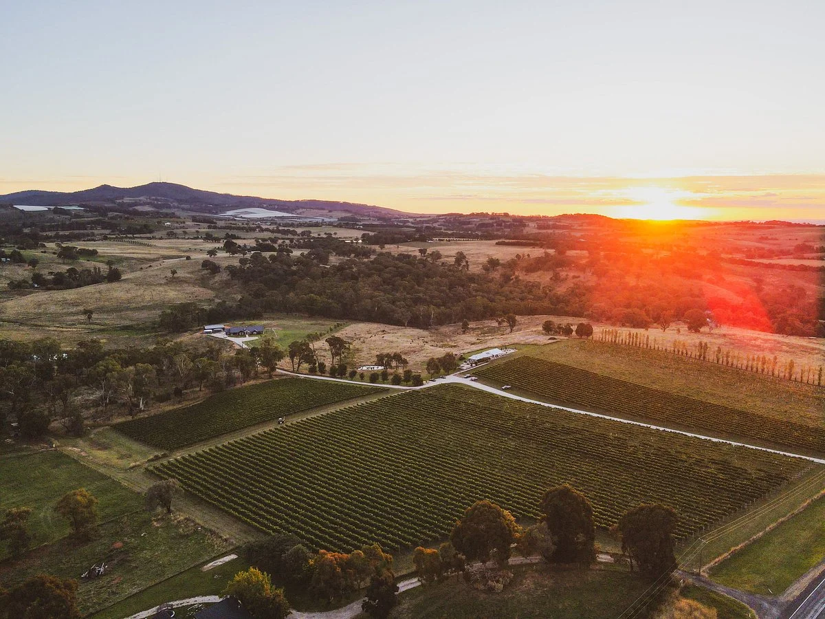 Swinging Bridge Wines