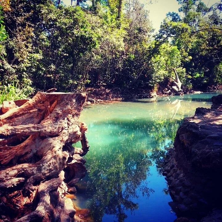 Cardwell Spa Pool