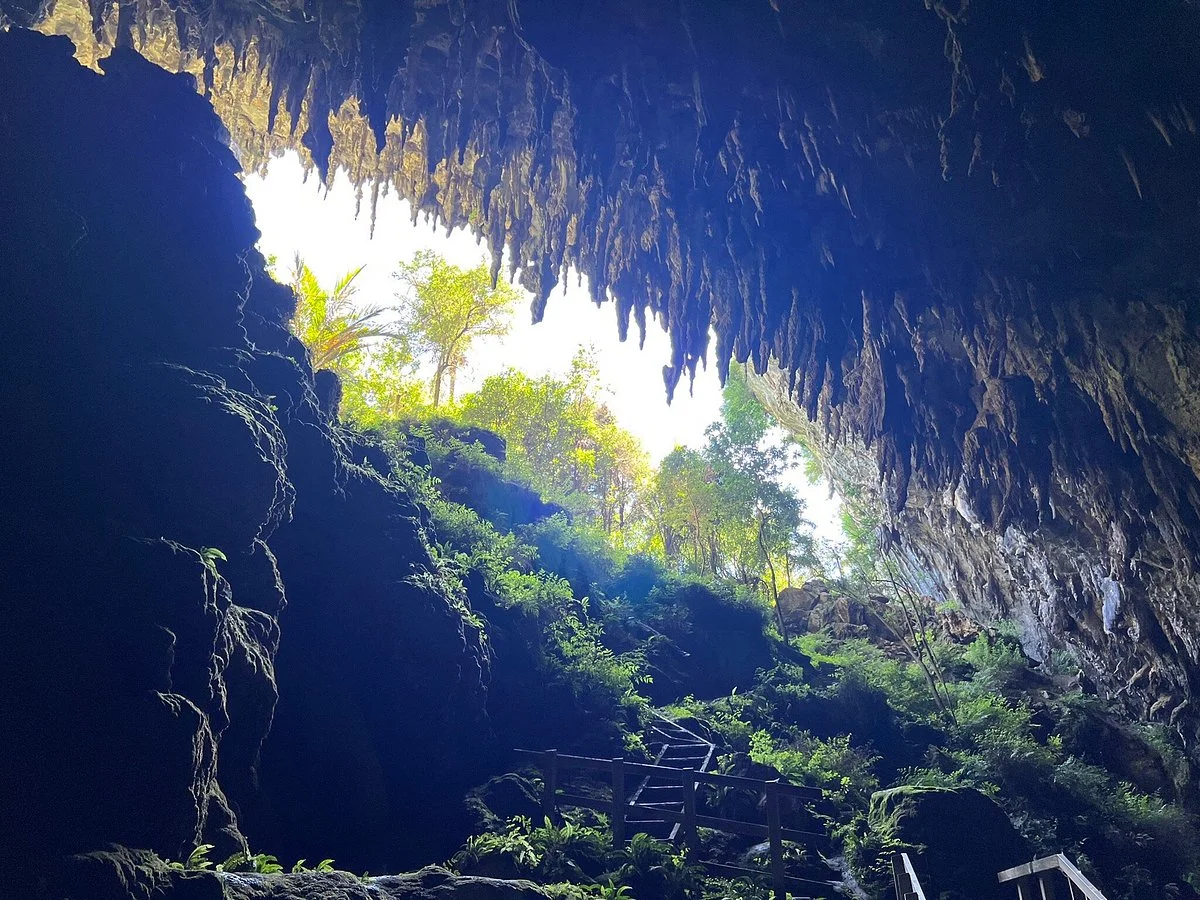 Rawhiti Cave Track