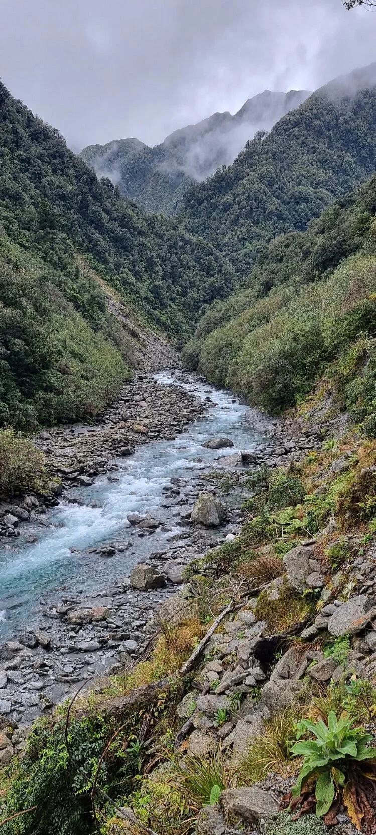Tatare Tunnels Walk