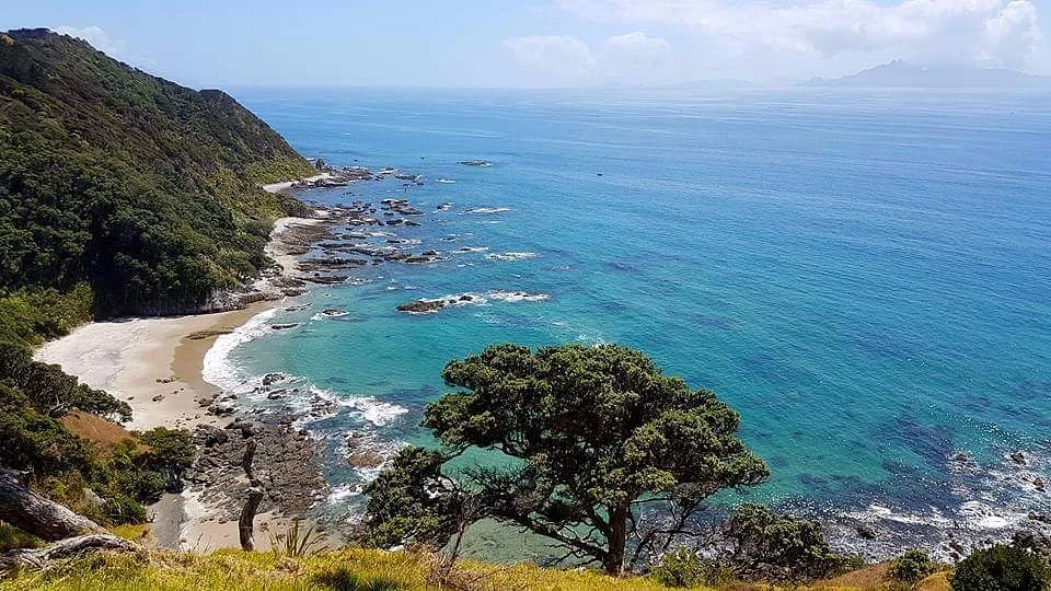 Mangawhai Walkway