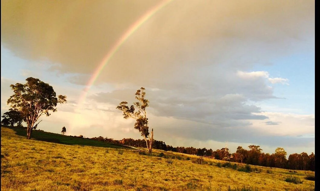 Western Sydney Parklands