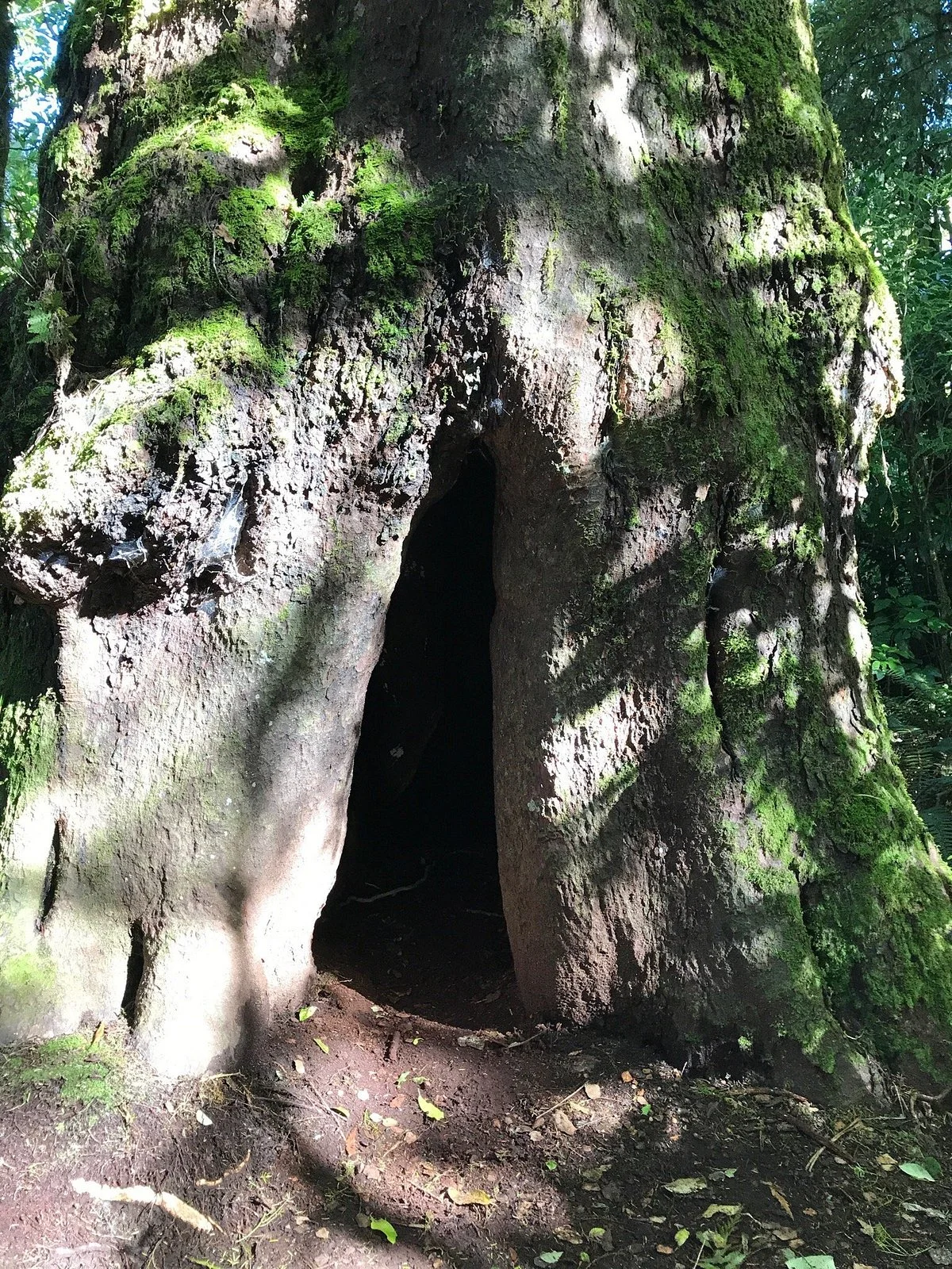 Opepe Scenic and Historic Reserve