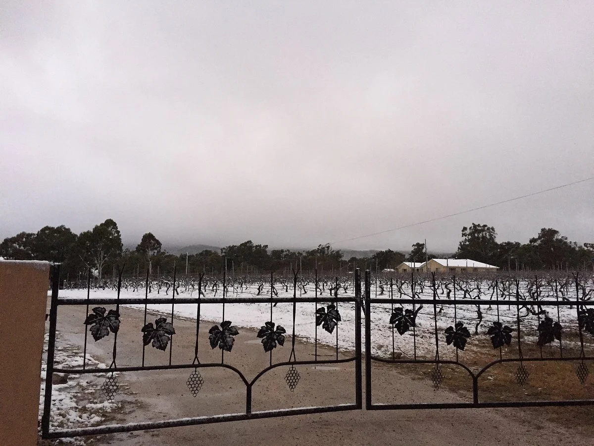 KOMINOS Wines