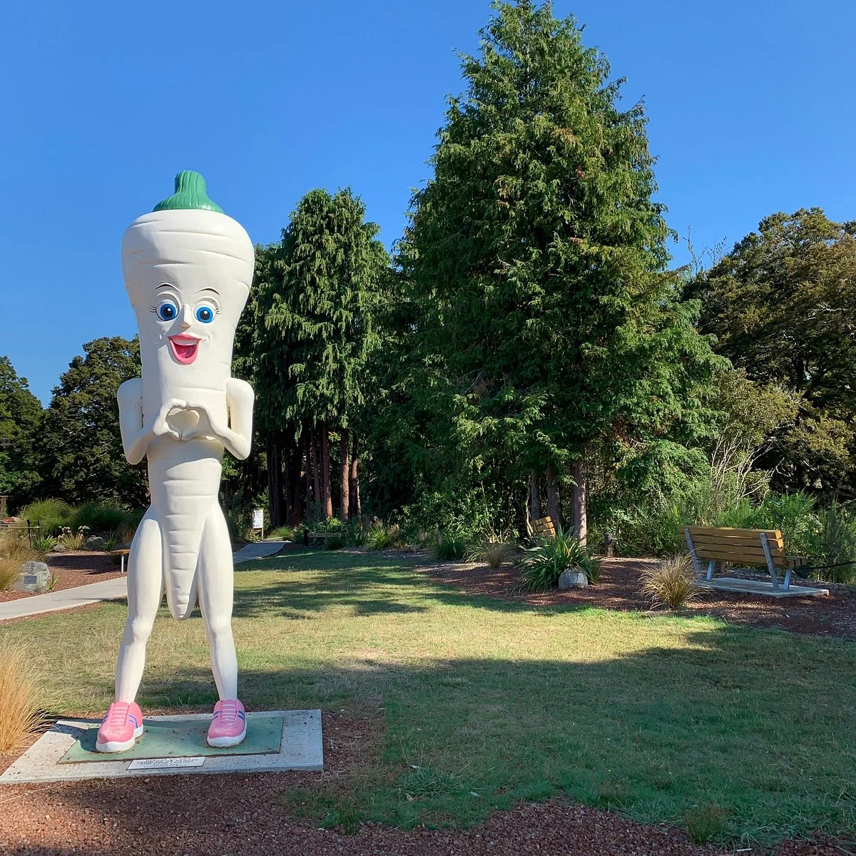 Ohakune Carrot Adventure Park