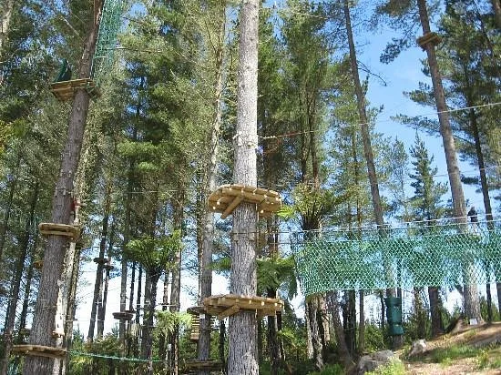 Adrenalin Forest