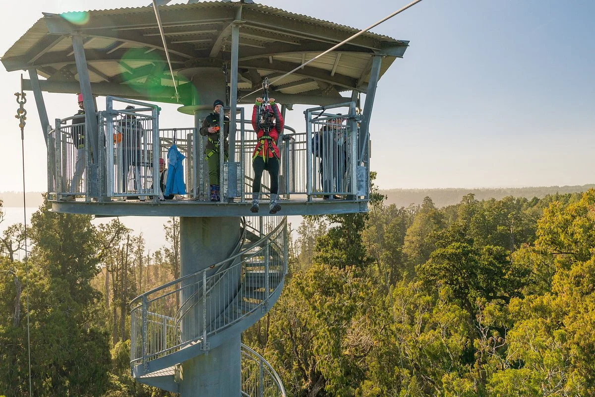 Westcoast Treetop Walk & Cafe