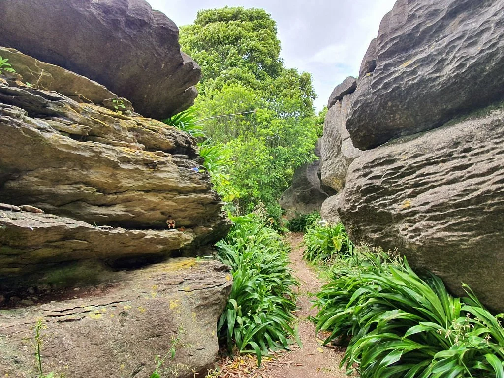 Labyrinth Rocks