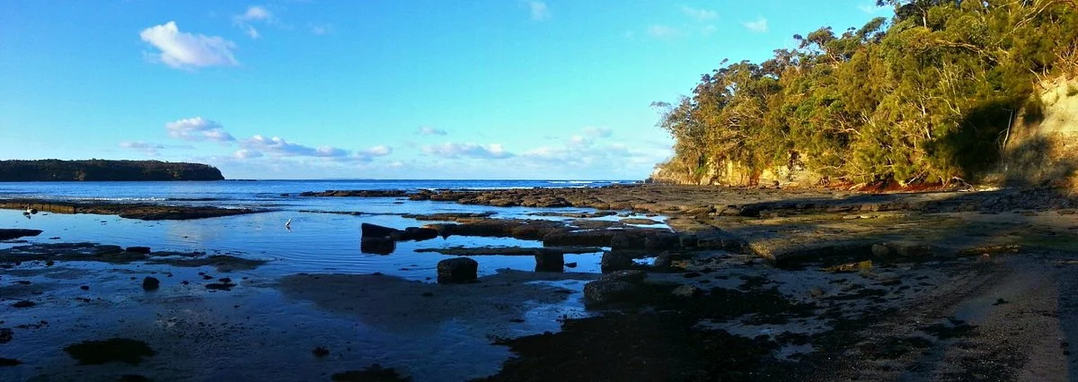 Gondwana Coast Fossil Walk