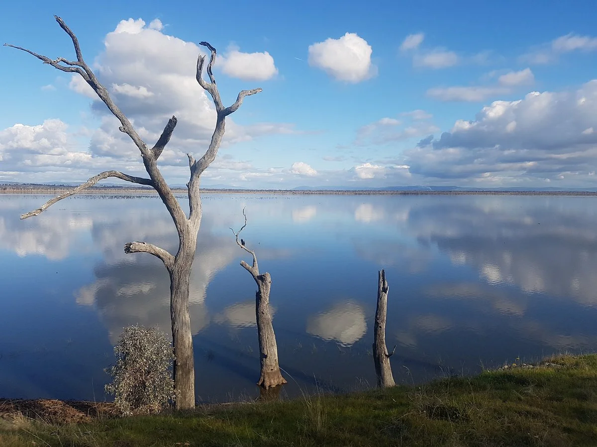 Winton Wetlands