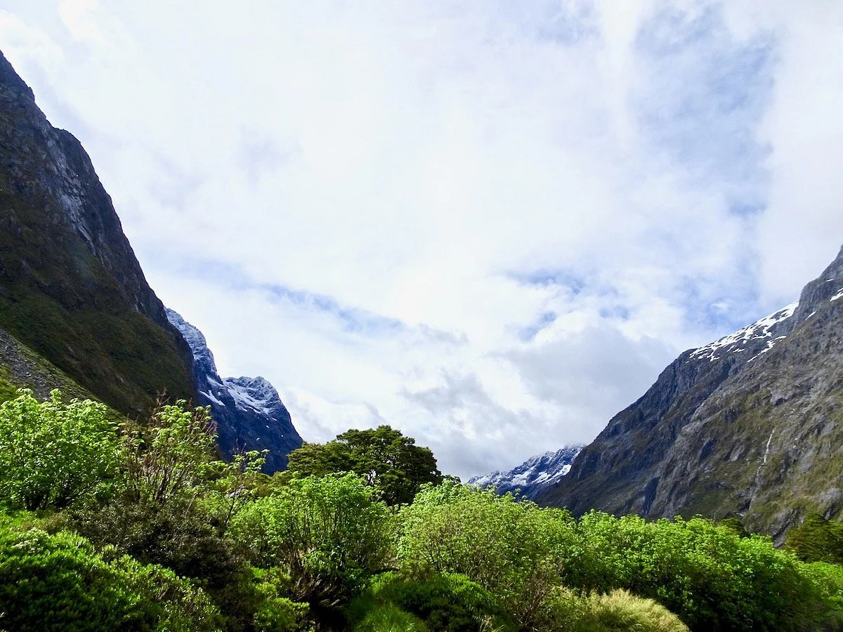 Gertrude Saddle
