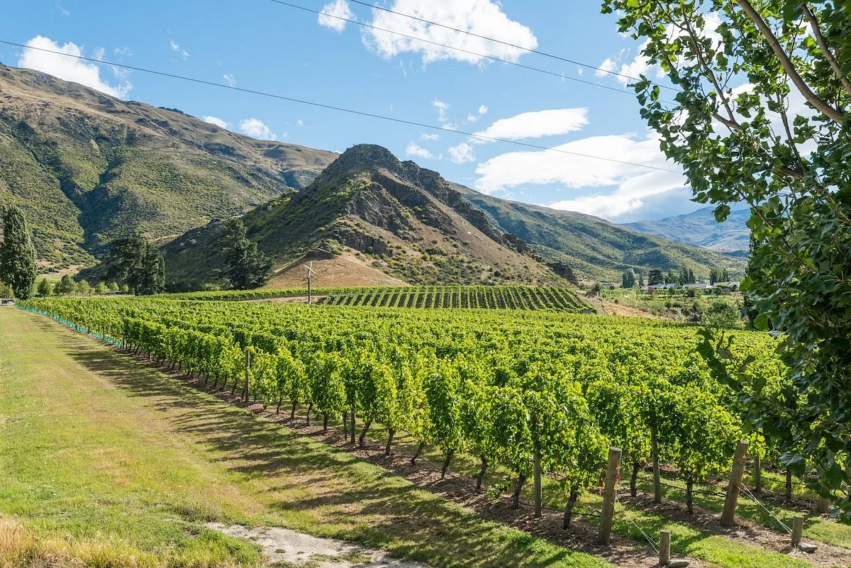 Brennan Wines