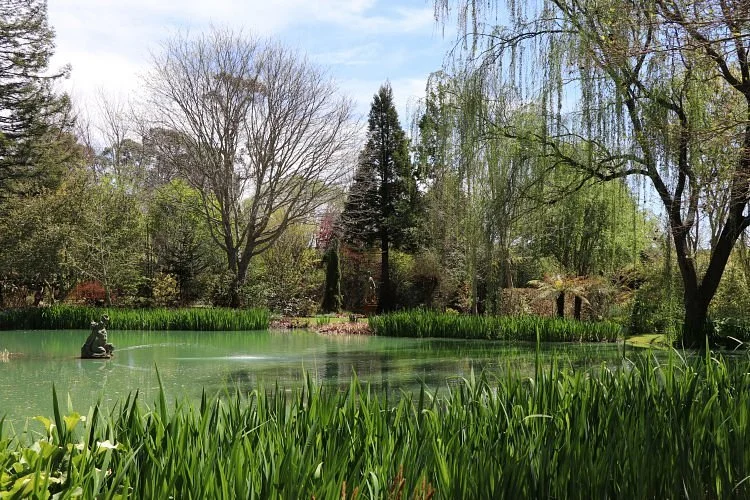 Red Cow Farm - Open Garden
