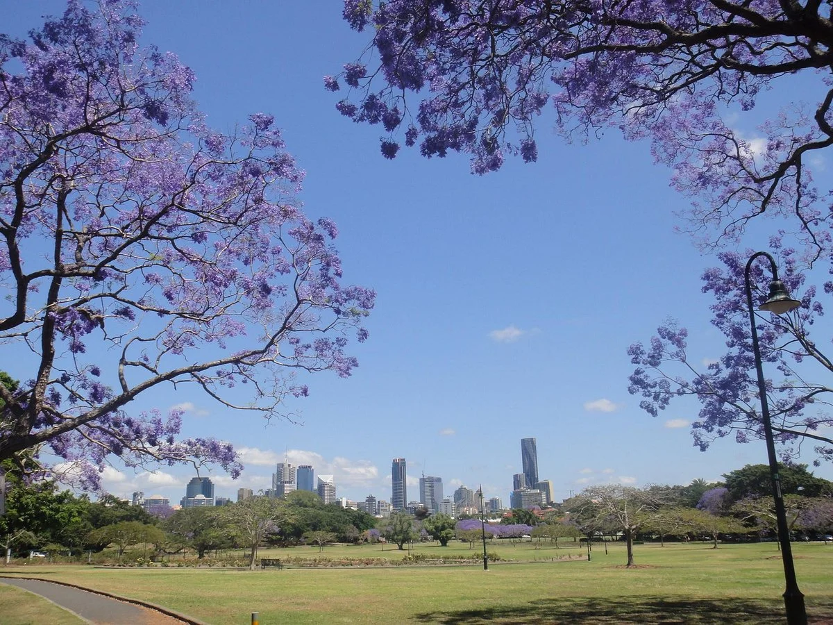 New Farm Park
