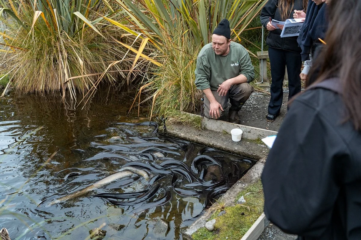 Ngā Manu Nature Reserve