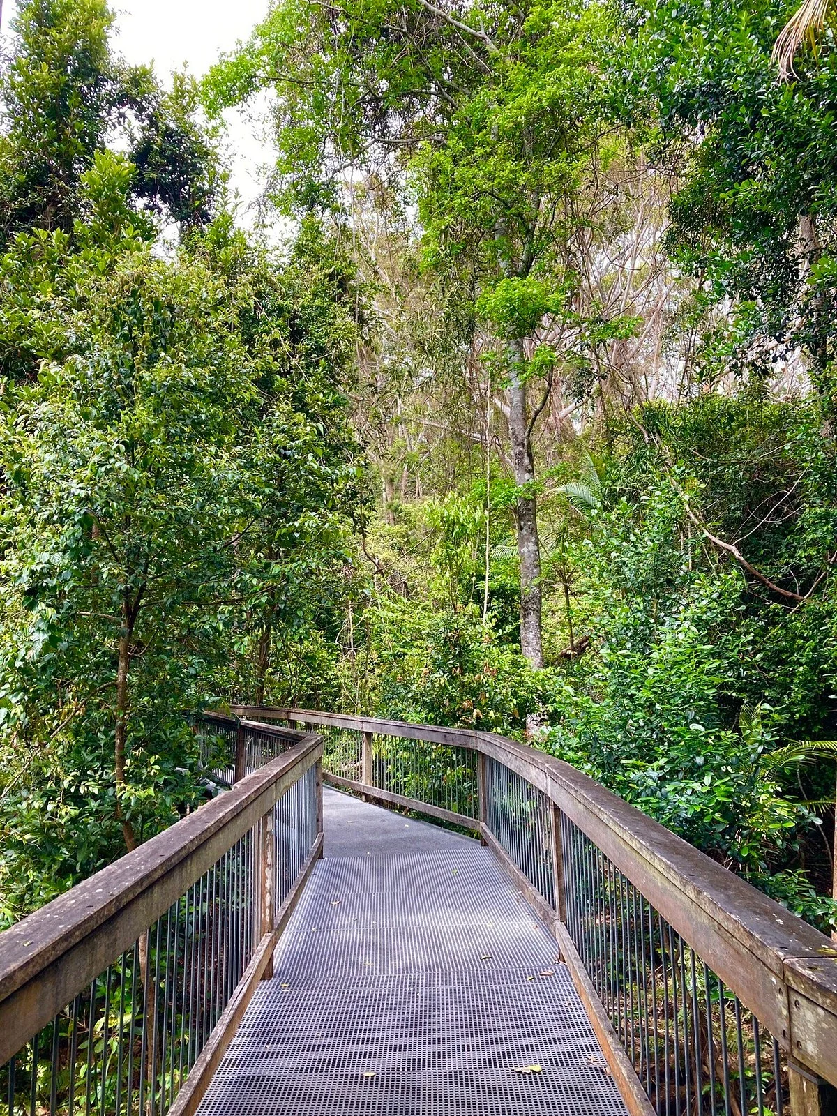 Sea Acres Rainforest Centre Port Macquarie