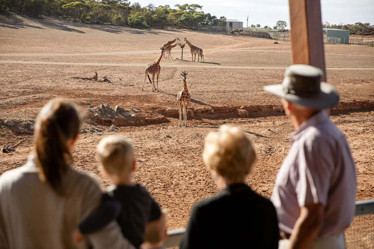 Monarto Safari Park