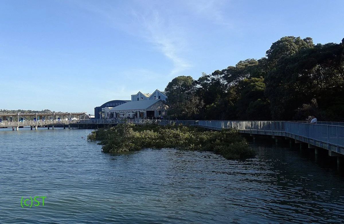 Hobsonville Point Coastal Walkway