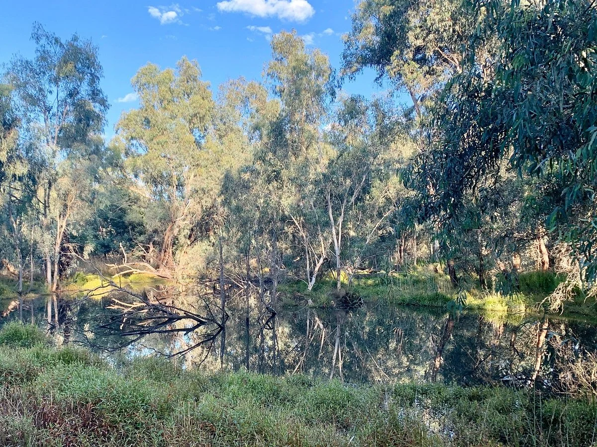 Yea Wetlands
