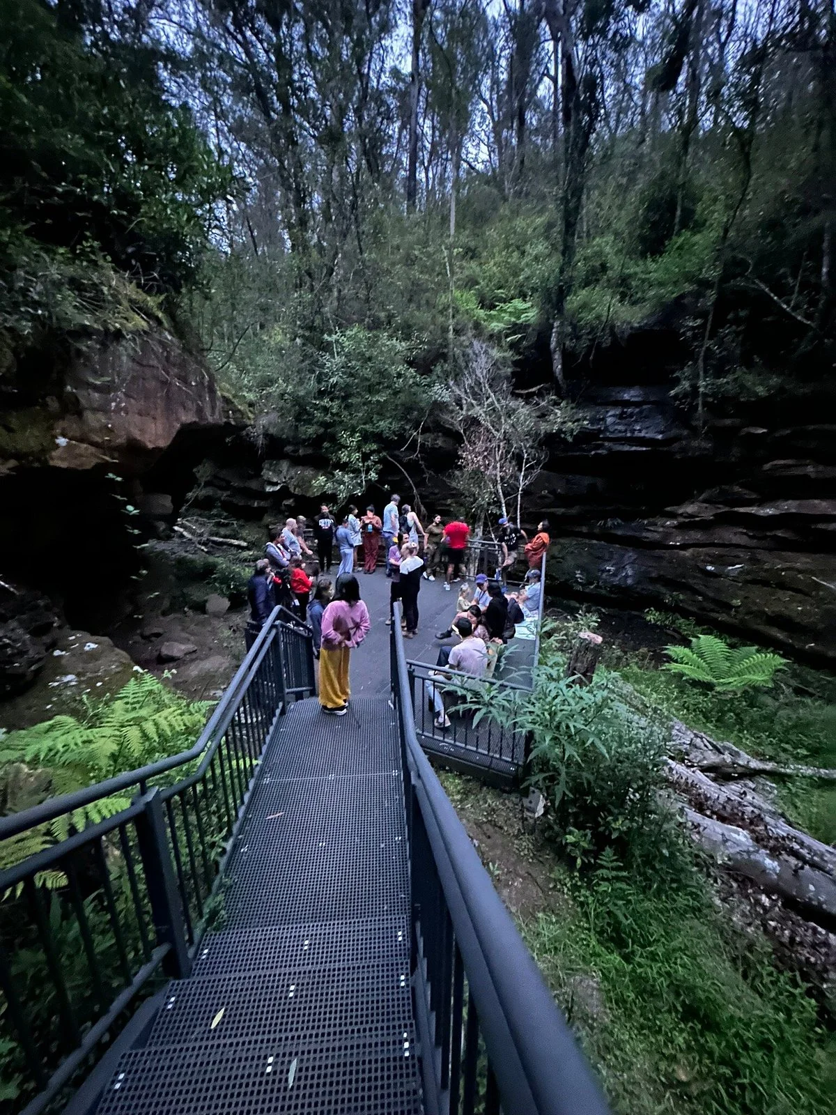 Glow Worm Glen