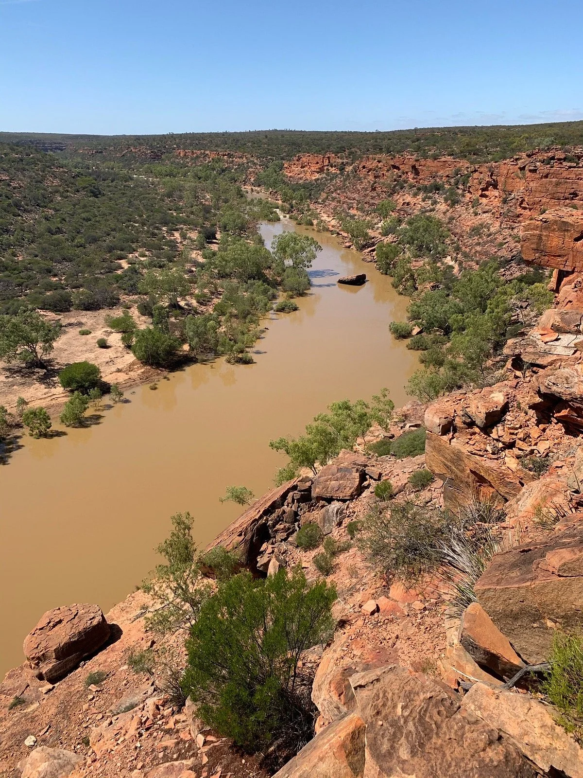 Ross Graham Lookout