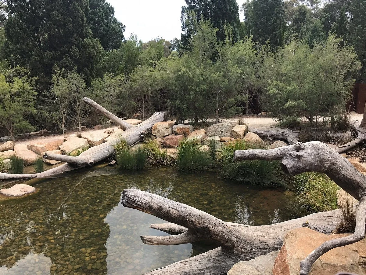 Rio Tinto Naturescape Kings Park