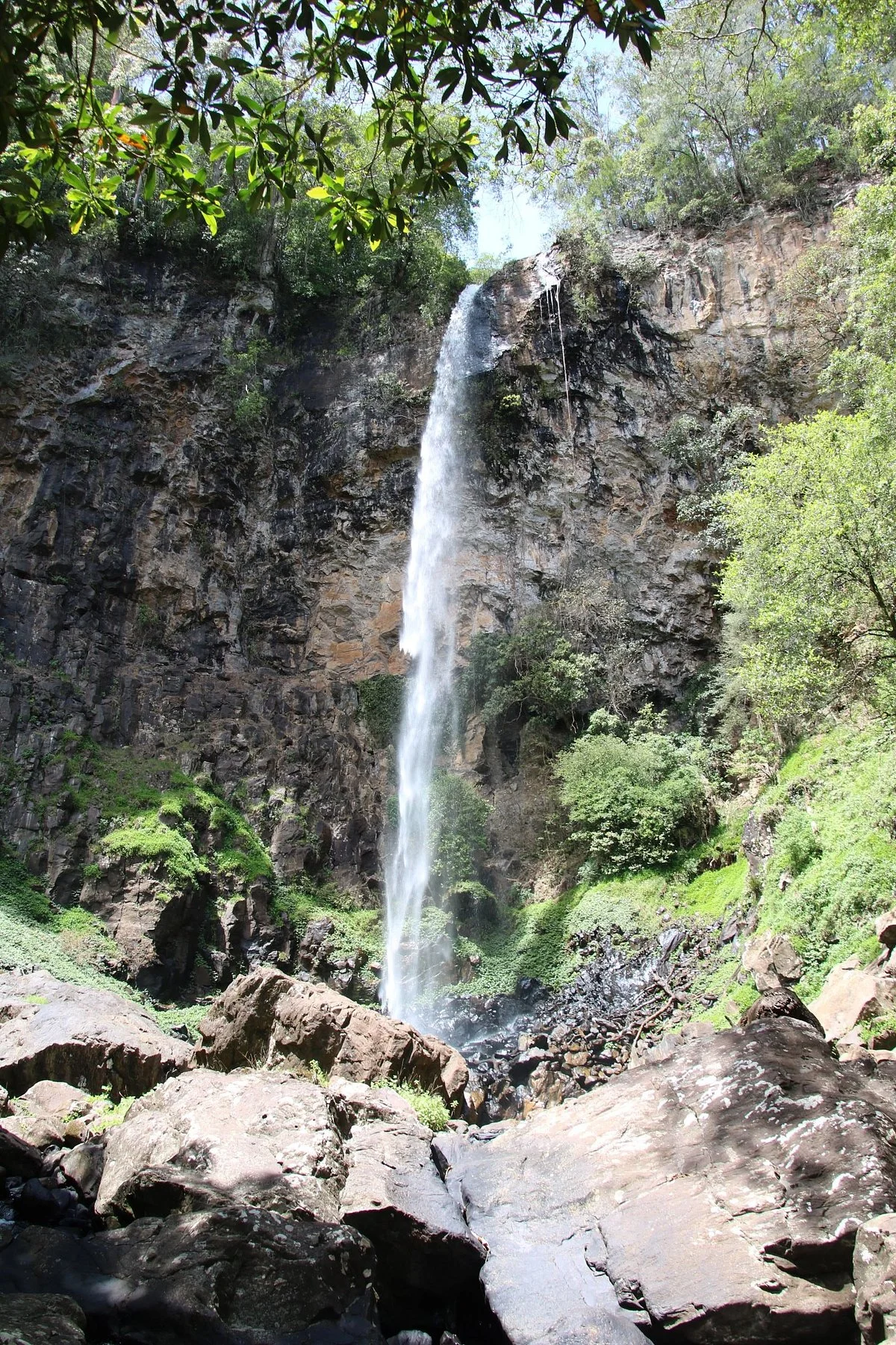 Boorganna Nature Reserve