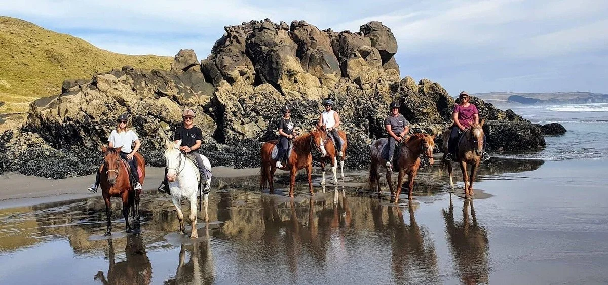Wildcoast Ruapuke Horse Riding