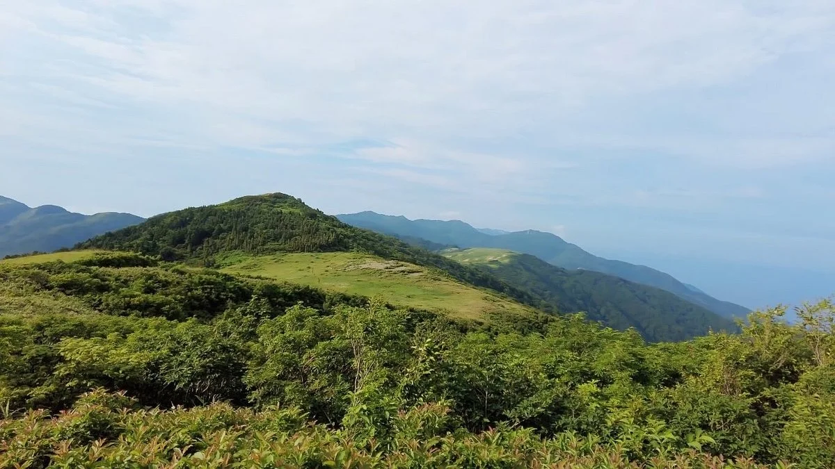Dondensan