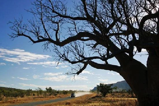 The Savannah Way