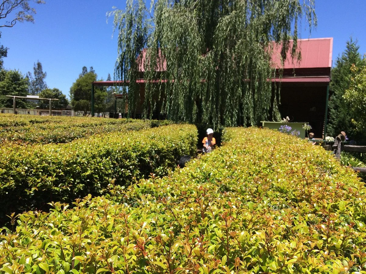 Amazement Farm & Fun Park