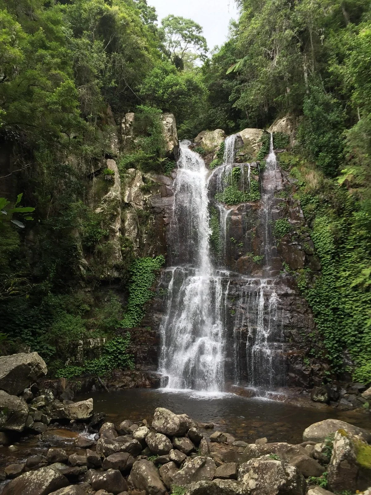 Minnamurra Rain Forest Centre