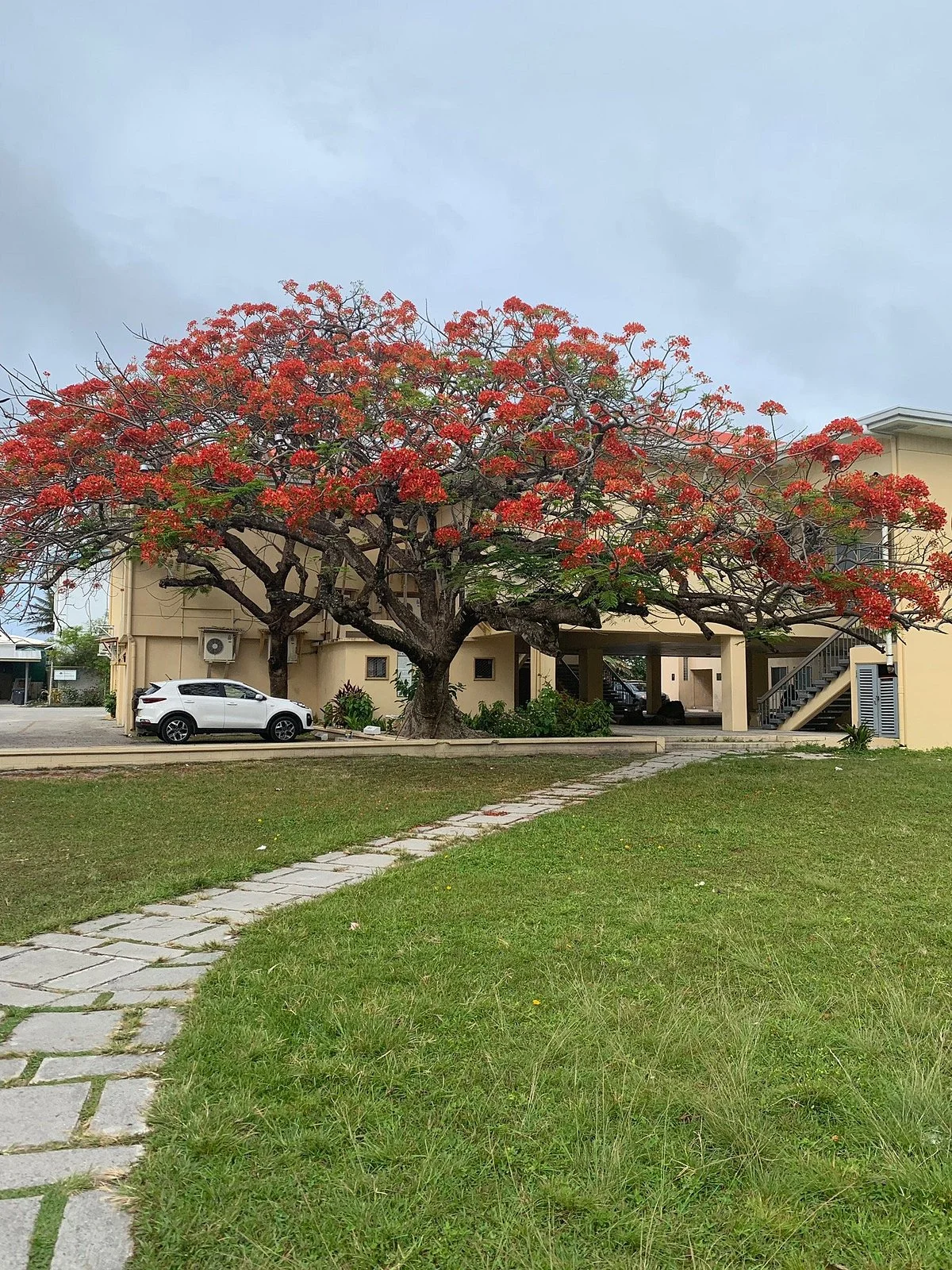 Alele Museum, Library and National Archives