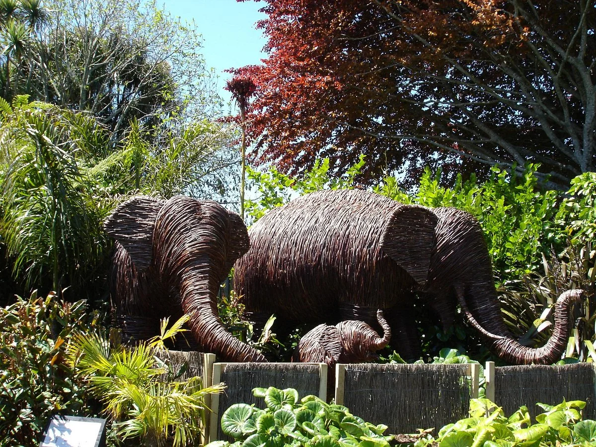 Brooklands Zoo