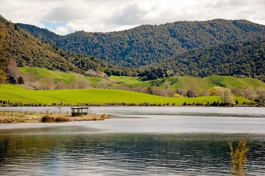 Lake Okareka Walkway