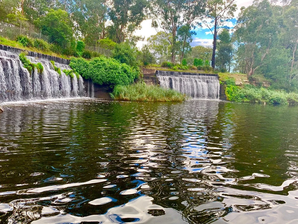 Central Gardens Nature Reserve